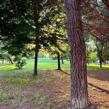 Appartement Se163 - Senigallia, Nuovo Bilocale Con Balcone In Centro Senigallia