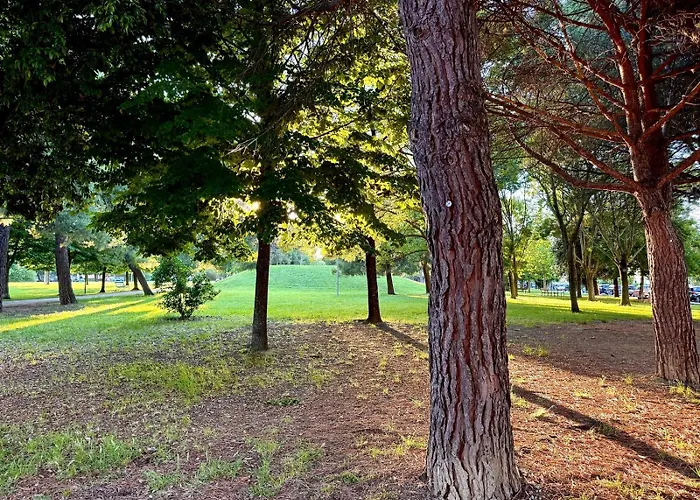 公寓 Se163 - Senigallia, Nuovo Bilocale Con Balcone In Centro 西尼加利亚